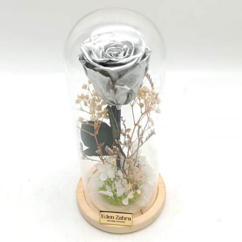 Eternity Silver